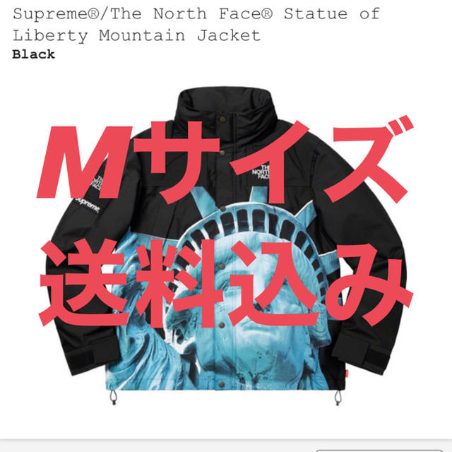 Supreme(シュプリーム)のSupreme The North Face Mountain Jacket メンズのジャケット/アウター(マウンテンパーカー)の商品写真