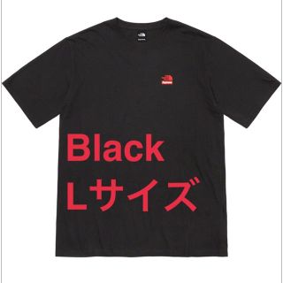 シュプリーム(Supreme)のsupreme the north face Tシャツ Lサイズ(Tシャツ/カットソー(半袖/袖なし))