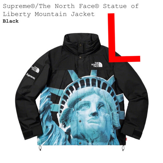 マウンテンパーカーSupreme The North Face Mountain Jacket