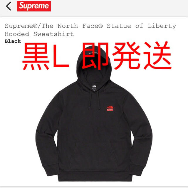 Supreme The North Face Statue of Libertyトップス