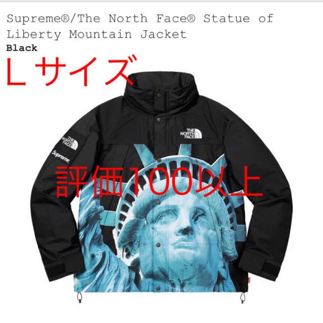 supreme  north  face mountain  jacket