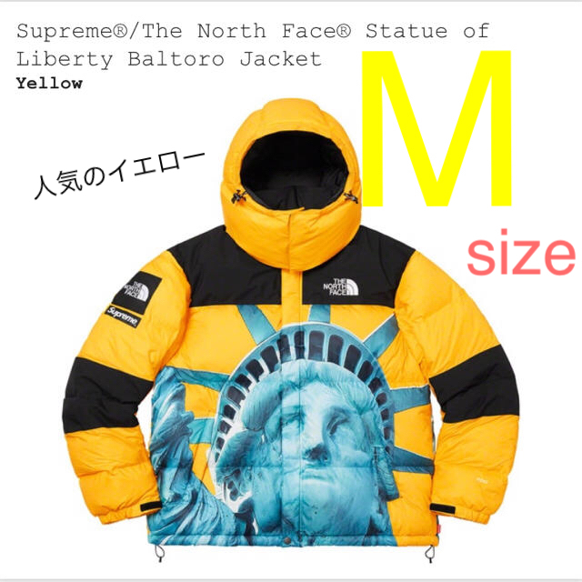 Supreme - supreme the north face バルトロ