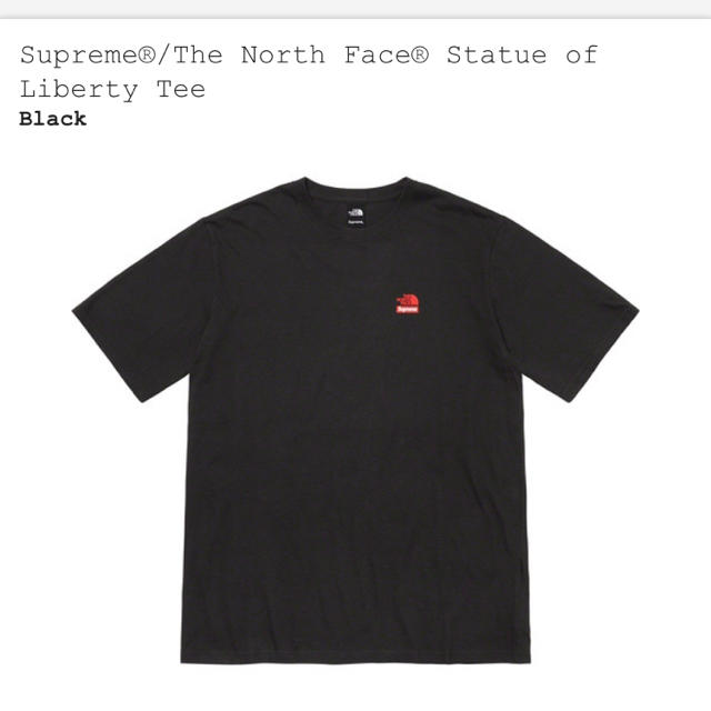 supreme north face Tシャツ