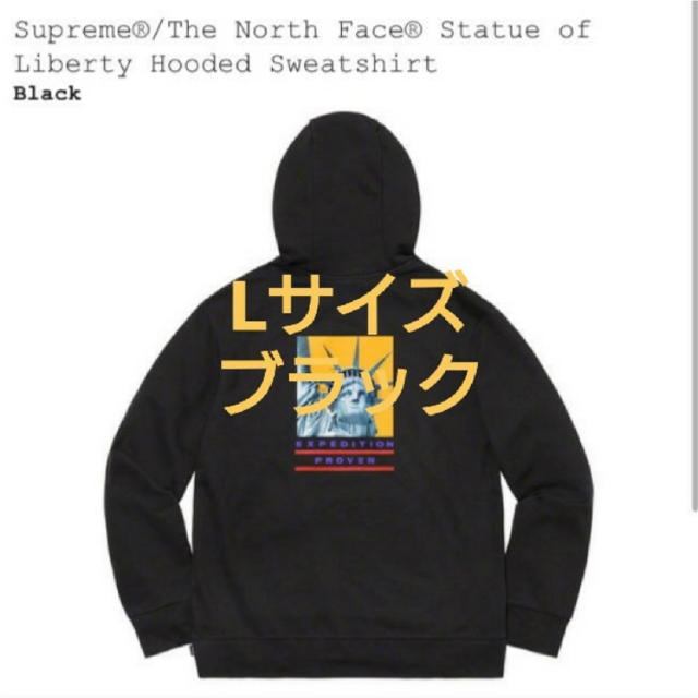 Supreme x TNF State Hooded Sweatshirt