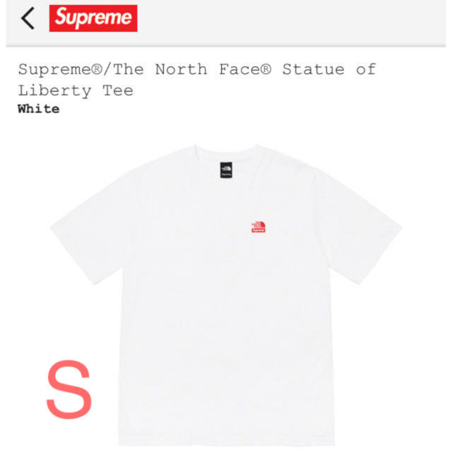 Sサイズ Supreme®/The North Face®  TeeTシャツ/カットソー(半袖/袖なし)