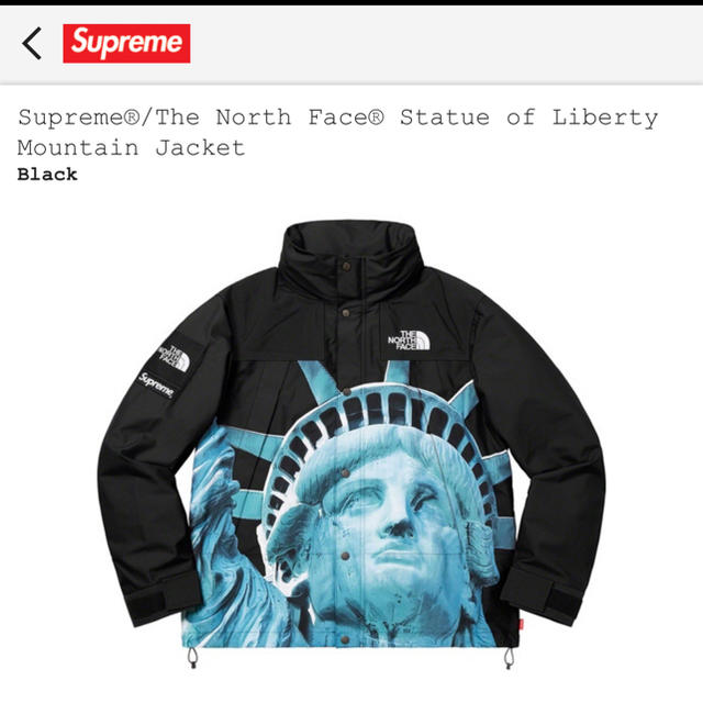 Supreme - Supreme The North FaceMountain Jacket