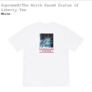 シュプリーム(Supreme)のSupreme The North Face Tee Tシャツ(Tシャツ/カットソー(半袖/袖なし))