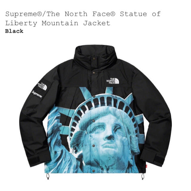 supreme the north face マウンテンジャケット Mのサムネイル