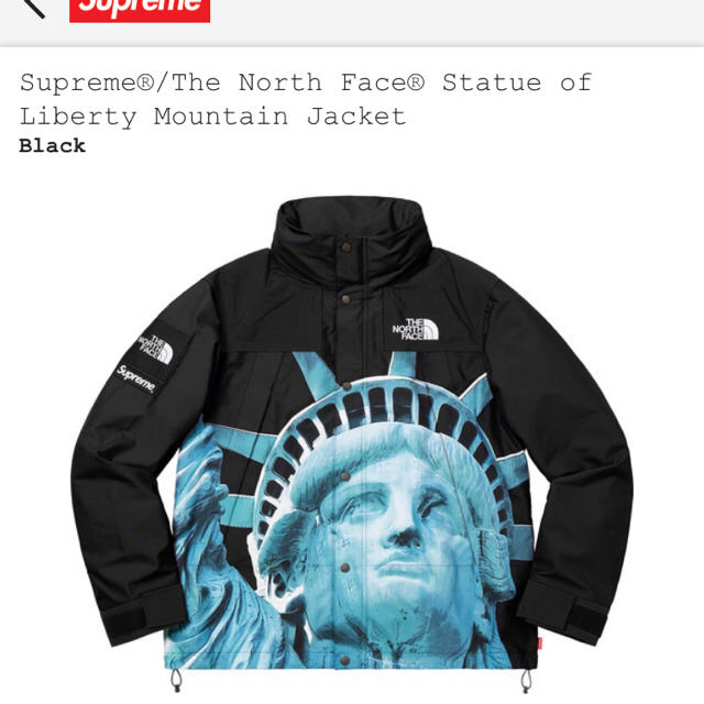 Supreme - Supreme North Face Mountain Jacket