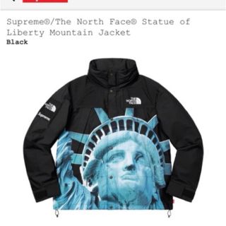 シュプリーム(Supreme)のSupreme the north face mountain jacketXL(マウンテンパーカー)