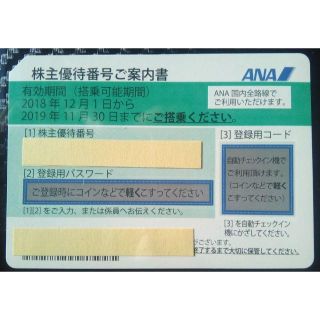 エーエヌエー(ゼンニッポンクウユ)(ANA(全日本空輸))のANA株主優待券　【2019年11月30日まで】(その他)