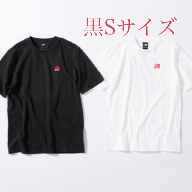 supreme north face Statue of Liberty Tee