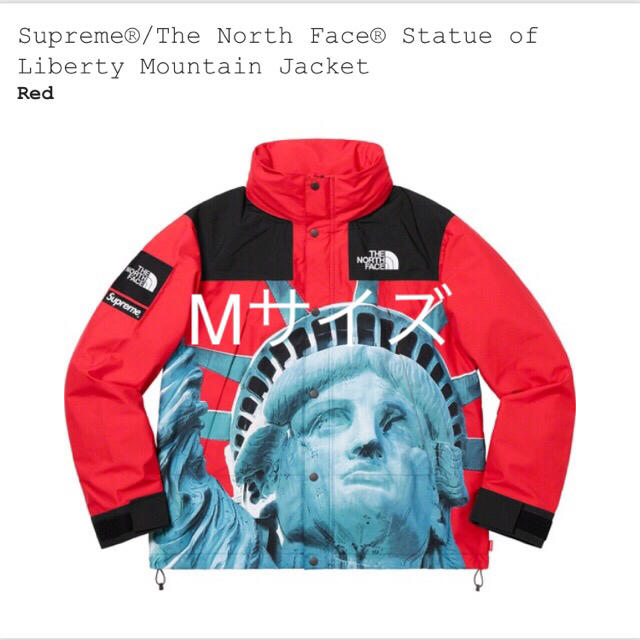 Supreme®/The North Face®  マウンテン　ジャケット