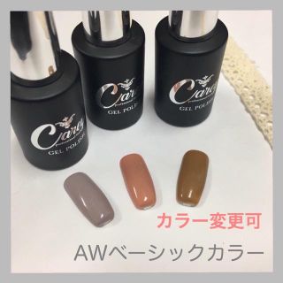 【カラー変更可】AWベーシックカラージェル ジェルネイル(カラージェル)