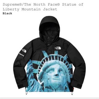 シュプリーム(Supreme)のsupreme north face マウンテンパーカー(マウンテンパーカー)