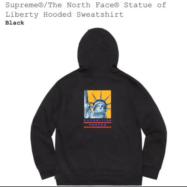 Supreme The North Face Hooded Sweatshirt