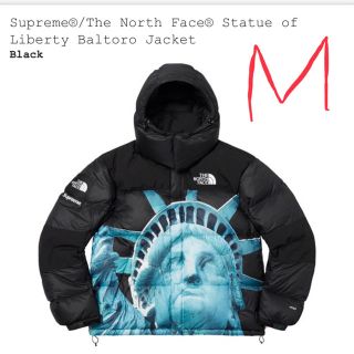 シュプリーム(Supreme)のSupreme The North Face バルトロ 黒 M(ダウンジャケット)