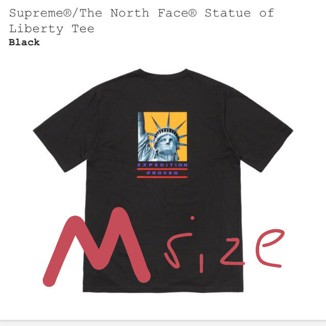 supreme the north face Tシャツ　Mメンズ