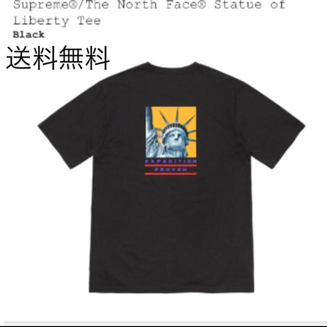 メンズsupreme the north face Tシャツ