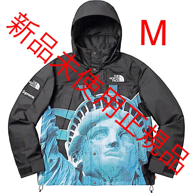 ノースフェイスSupreme The North Face M