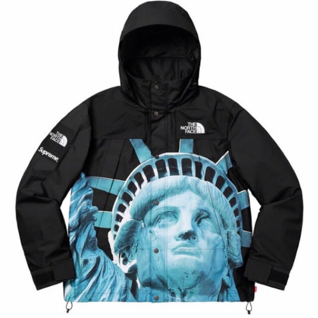 Supreme The North Face Mountain Jacket 黒