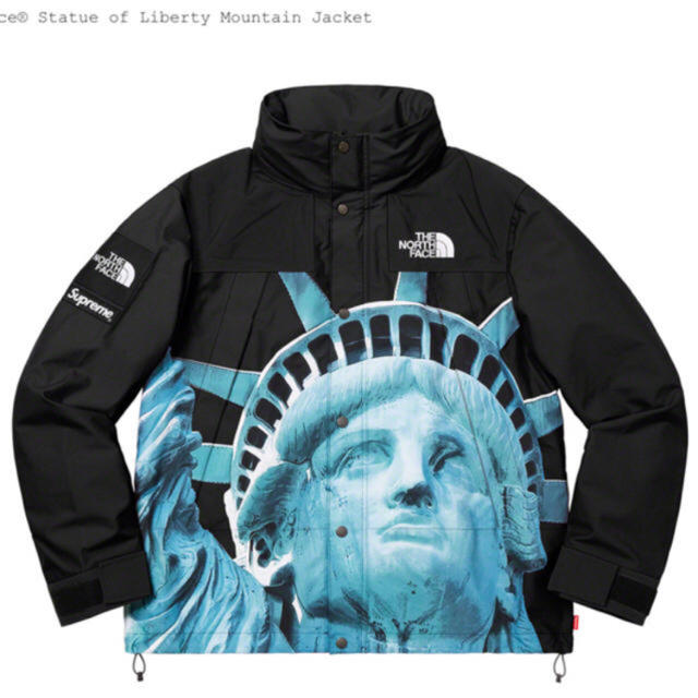 BlackサイズSupreme The North Face Statue 貴重 SIZE M