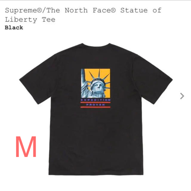 supreme north face　tee