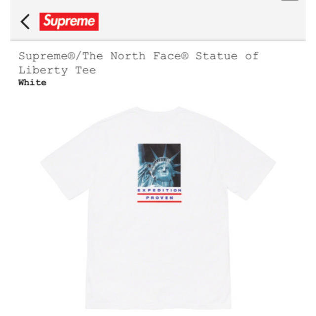 Supreme(シュプリーム)のSupreme®/The North Face®  Tee XL メンズのトップス(Tシャツ/カットソー(半袖/袖なし))の商品写真