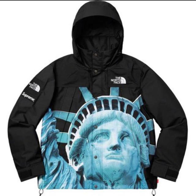 Supreme TNF Statue of Liberty Mountain②