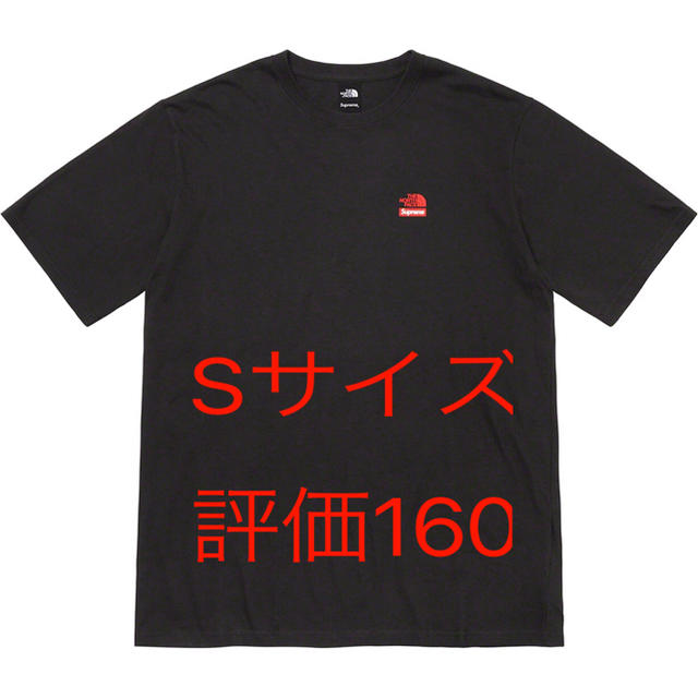 Supreme North Face Statue of Liberty Tee