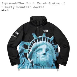 シュプリーム(Supreme)のSupreme x The North Face Mountain Jacket(マウンテンパーカー)