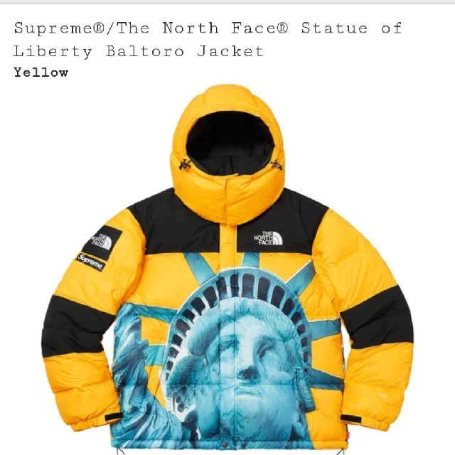 サイズM supreme baltoro north face バルトロ