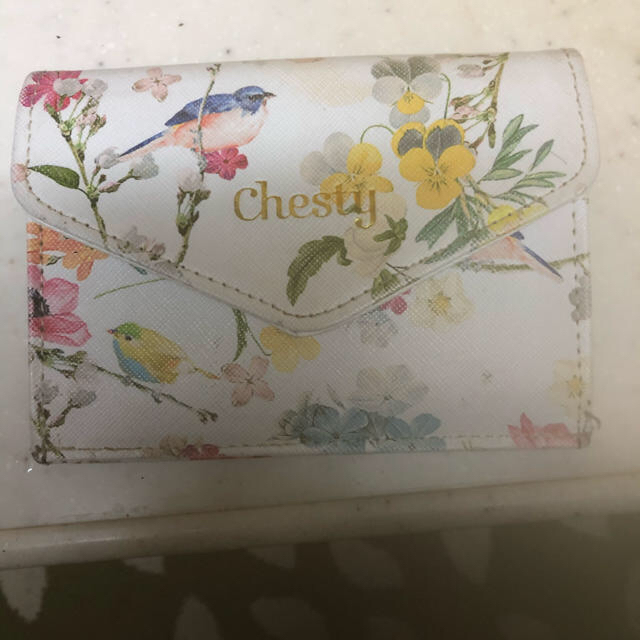 Chesty(チェスティ)のカード入れ レディースのファッション小物(その他)の商品写真