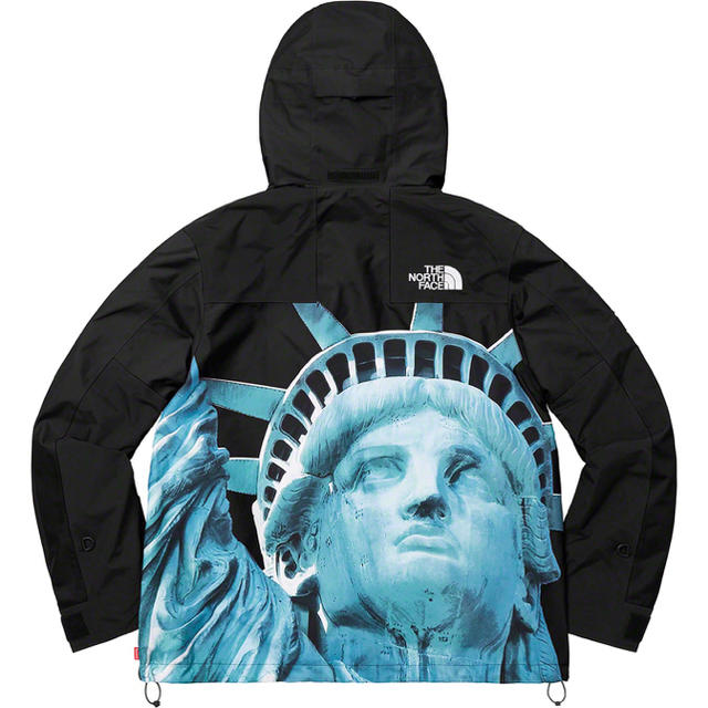 Supreme Statue Liberty Mountain Jacket M 3