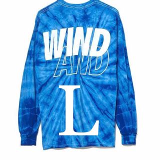 ロンハーマン(Ron Herman)の希少L キムタク着 私物 WIND AND SEA タイダイ カットソー(Tシャツ/カットソー(七分/長袖))