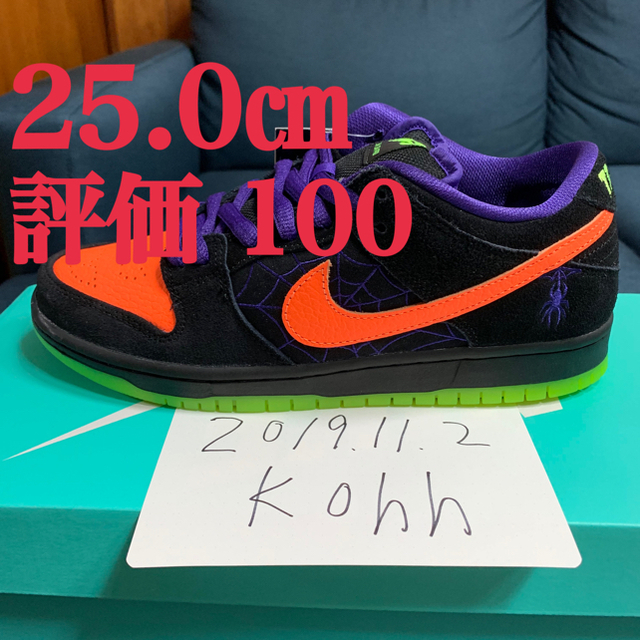 25.0㎝ NIKE SB DUNK LOW NIGHT OF MISCHIEF