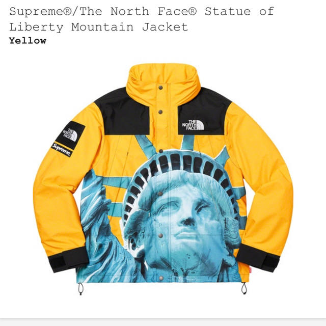 Supreme the north face mountain jacket s