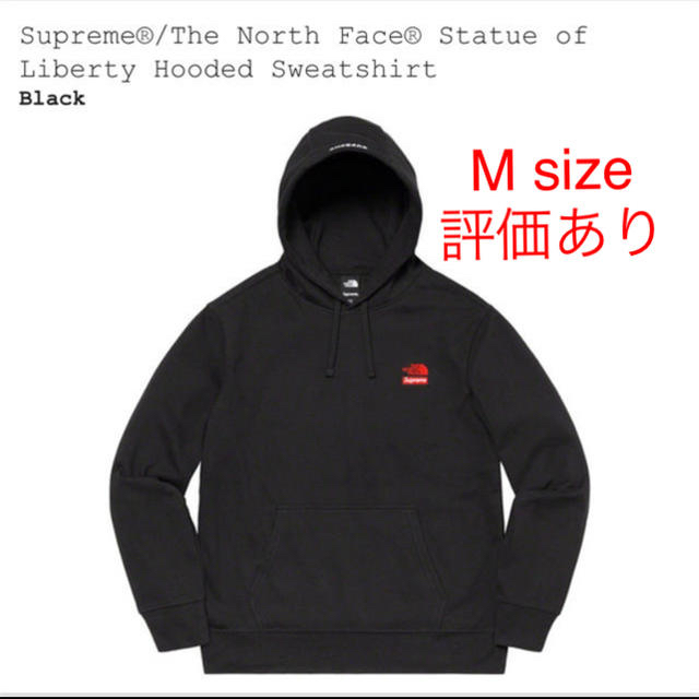 supreme the north face