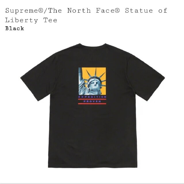 【L】Supreme The North Face tee