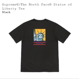 シュプリーム(Supreme)の【L】Supreme The North Face tee(Tシャツ/カットソー(半袖/袖なし))