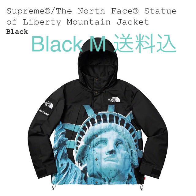 Supreme The North Face Mountain Jacket M