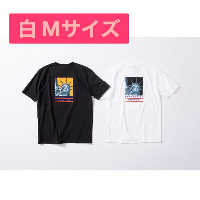 SUPREME シュプリーム ノースフェイス - Tシャツ/カットソー(半袖/袖なし)