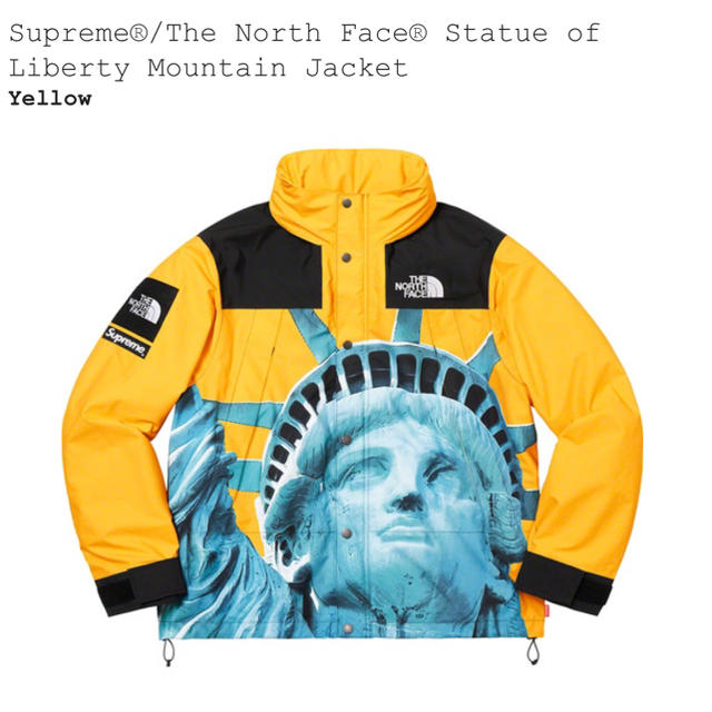 Supreme×The North Face Mountain Jacket