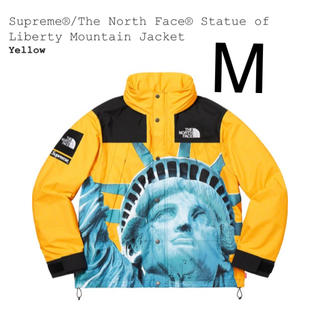 シュプリーム(Supreme)のSupreme The North Face mountain jacket  (マウンテンパーカー)