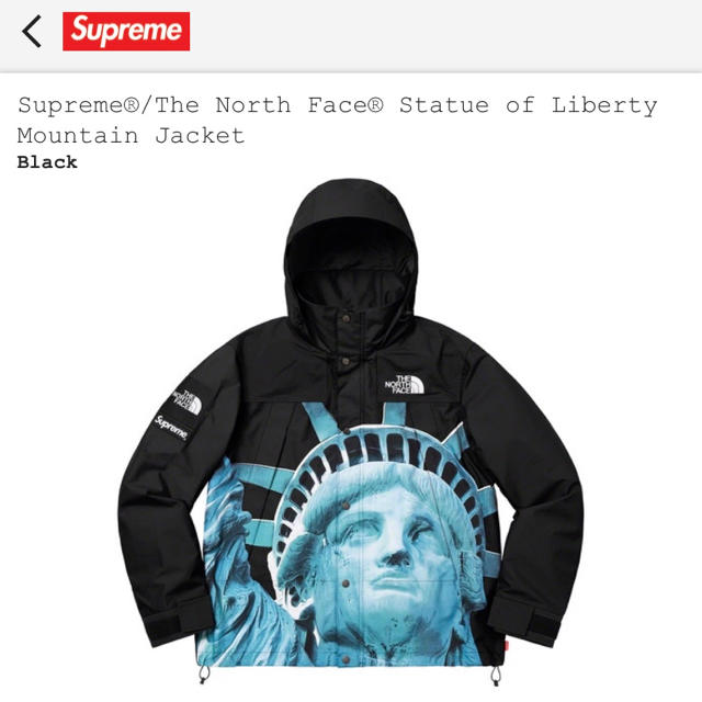 Supreme/The North Face Mountain Jacket