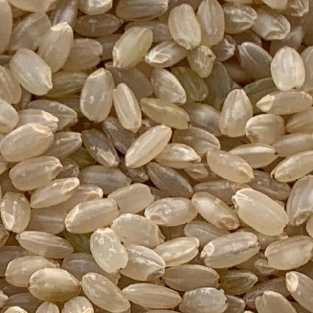 新米ゆめぴりか100%20kg玄米　米/穀物