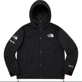 シュプリーム(Supreme)のSupreme/The North Face (マウンテンパーカー)