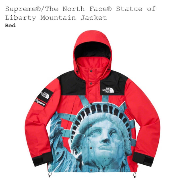 新発売 Supreme Jacket Mountain Liberty of Statue - マウンテンパーカー