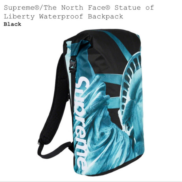 バッグパック/リュックSupreme®/The North Face®  Backpack