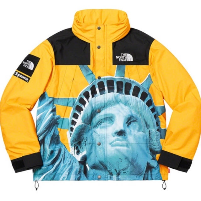 Supreme The North Face mountain Jacket M